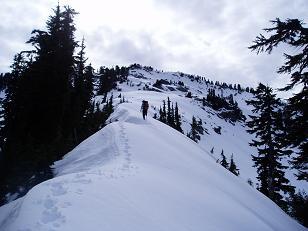 Goat Mountain (Lake Philippa quad) from 5,000' on NE ridge