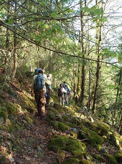 Fuller Mountain trail