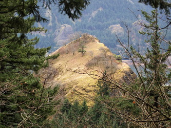 Peek-a-boo view of our second destination, Cooks Point 574.  There is a deer barely visible on the left side of the meadowed slope.