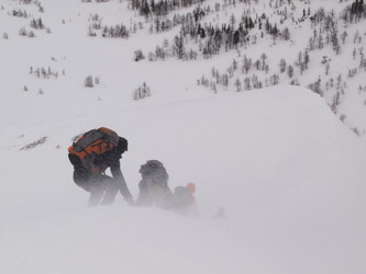 The people descending ahead of me, partially obscured by blowing snow.  There is probably only a breeze in the larch forest visible in the basin below.