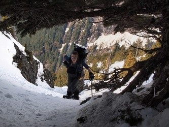 Steph coming through a tree tunnel