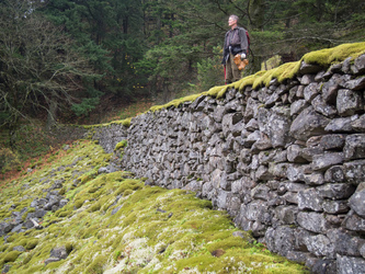 Dad standing on the 1870s wagon road.