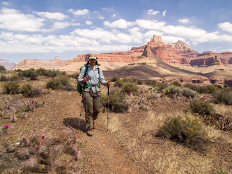 On the Tonto Plateau.