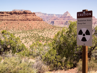 On our way back up to the south rim on the Grandview Trail.