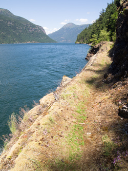 The East Bank Ross Lake trail.