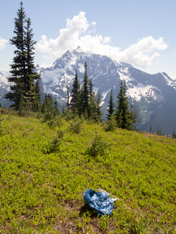 Dear Everybody, please stop buying helium balloons.