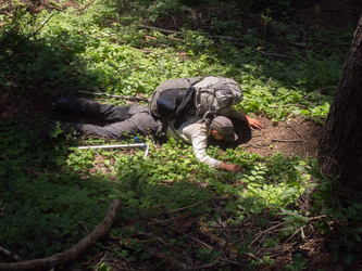 Hugging the Pacific Crest Trail.