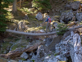 Tightrope log crossing