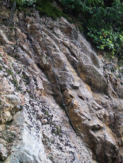 Someone left a rope here.  An obstruction in the canyon must have collapsed since the previous travelers placed the rope, because the rope was right next to an obvious class 2 route.