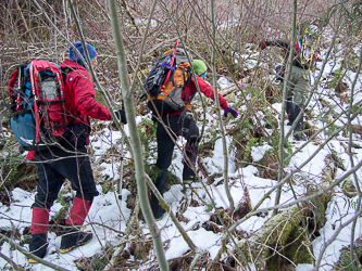 A little brushy for the first couple hundred feet above the road.