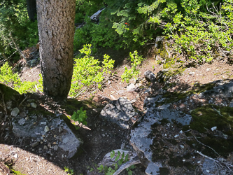 The trail down from Joe Lake was very steep -- not good for running!
