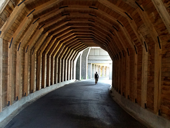 In the Mosier Twin Tunnels.
