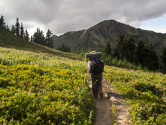 White Mountain from the PCT.