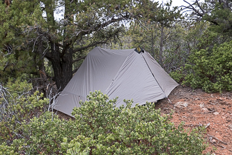 Camp near Timp Creek
