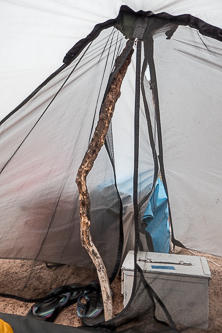 It started raining while we were cowboy camping and I could not find poles for the tent, so I found some sticks to set the tent up with