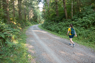 Back on the Snoqualmie Valley Trail