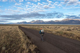 Walking Cottonwood Fields Road into Denio