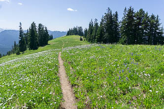 West Cady Ridge Trail