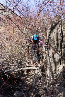 Short bushwack to connect the railroad grade to the trail